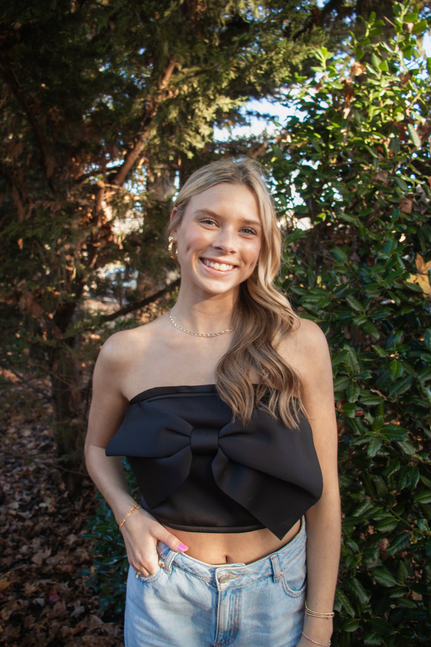 Blitzen bow top